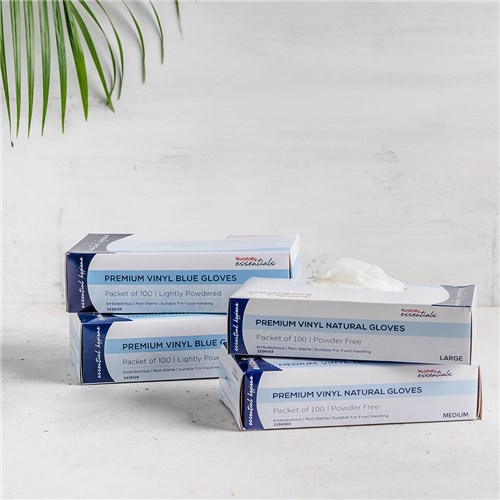 Premium Vinyl Gloves Powder Free Clear Large Essentials Collection